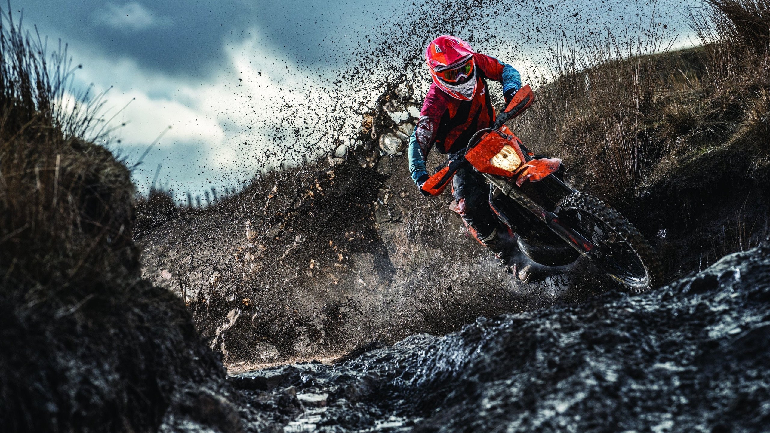 “马丁·高尔西引领美洲狮队防守革命,全面崛起”